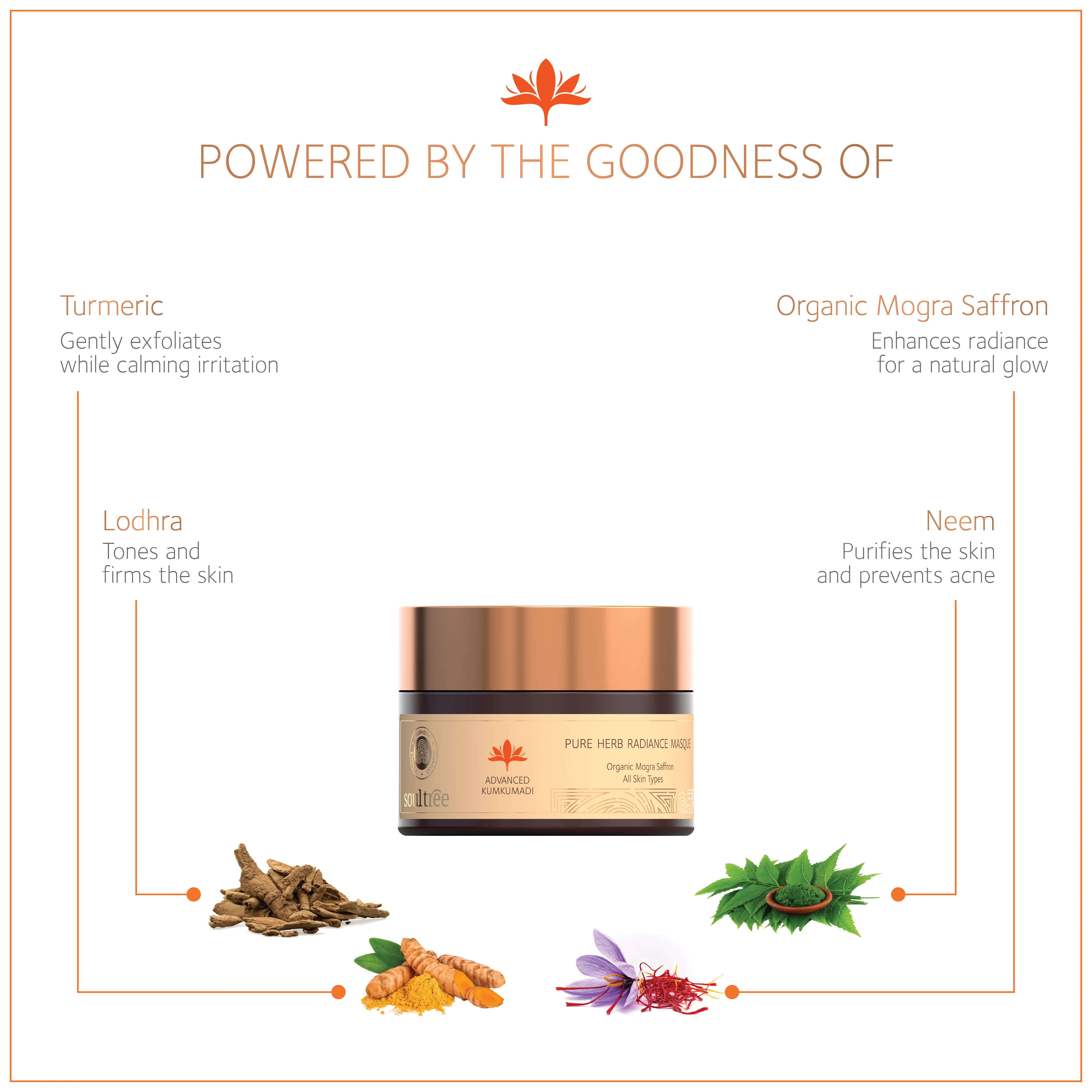 Advanced Kumkumadi Pure Herb Radiance Masque - Image 3