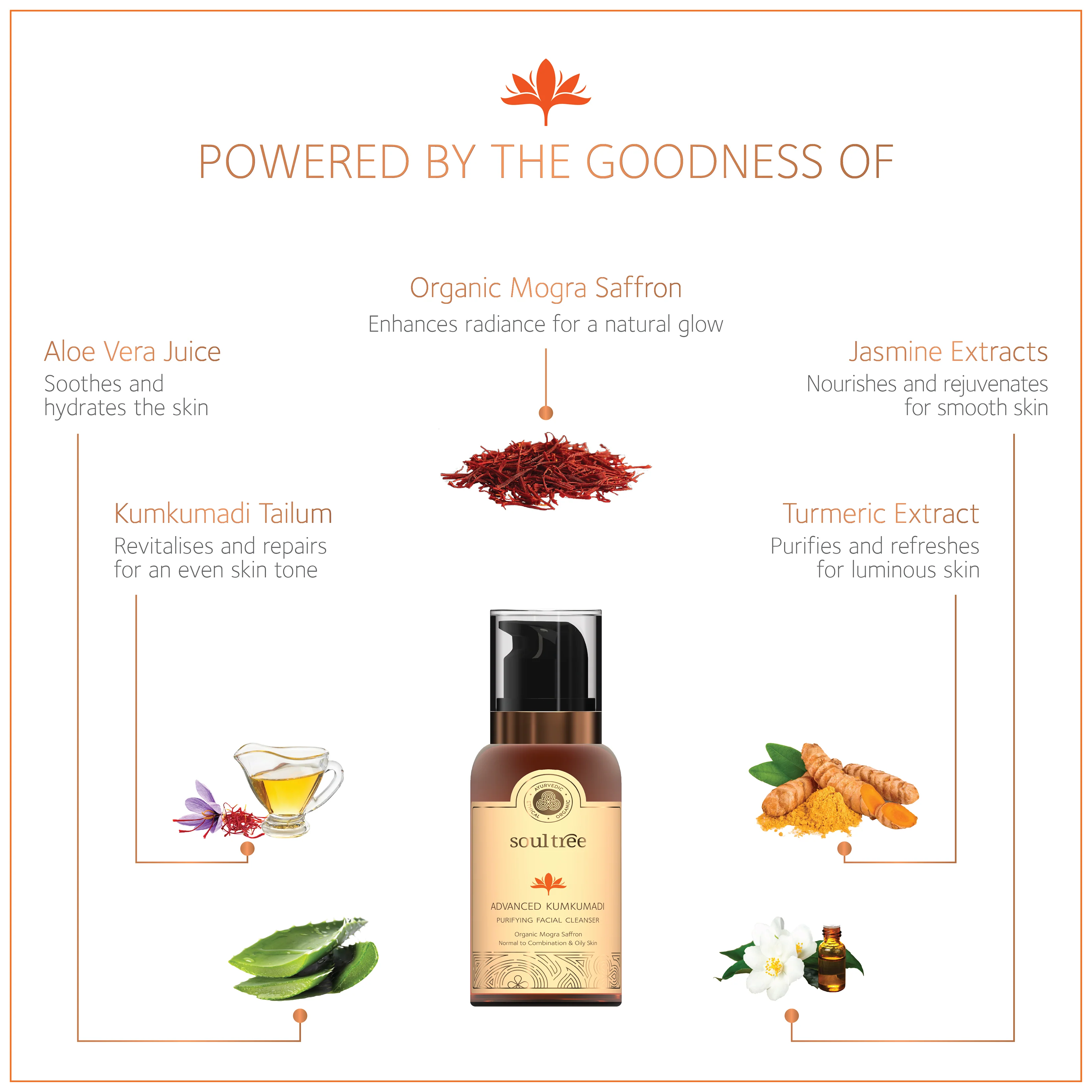 Advanced Kumkumadi Purifying Facial Cleanser - Image 3