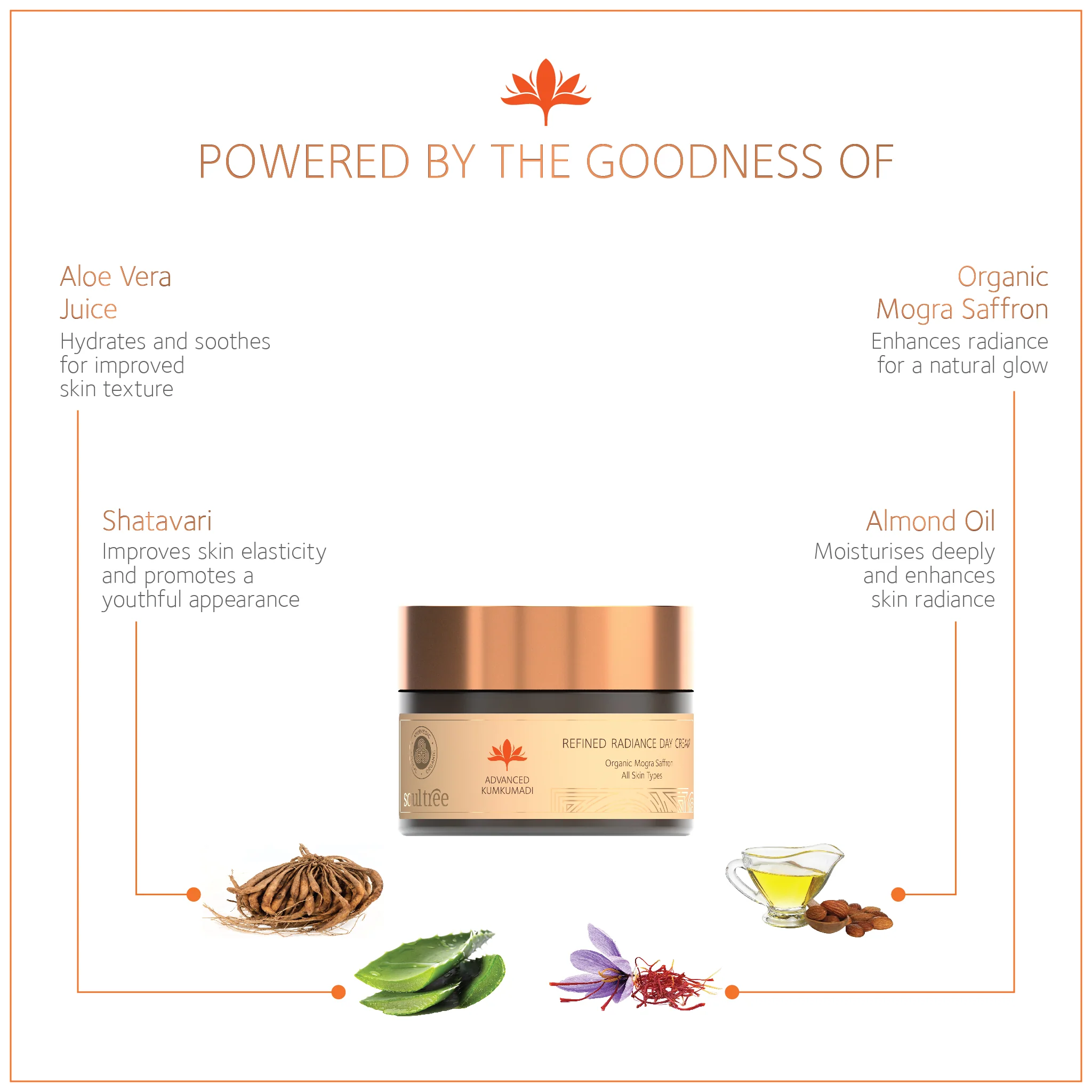Advanced Kumkumadi Refined Radiance Day Cream - Image 4