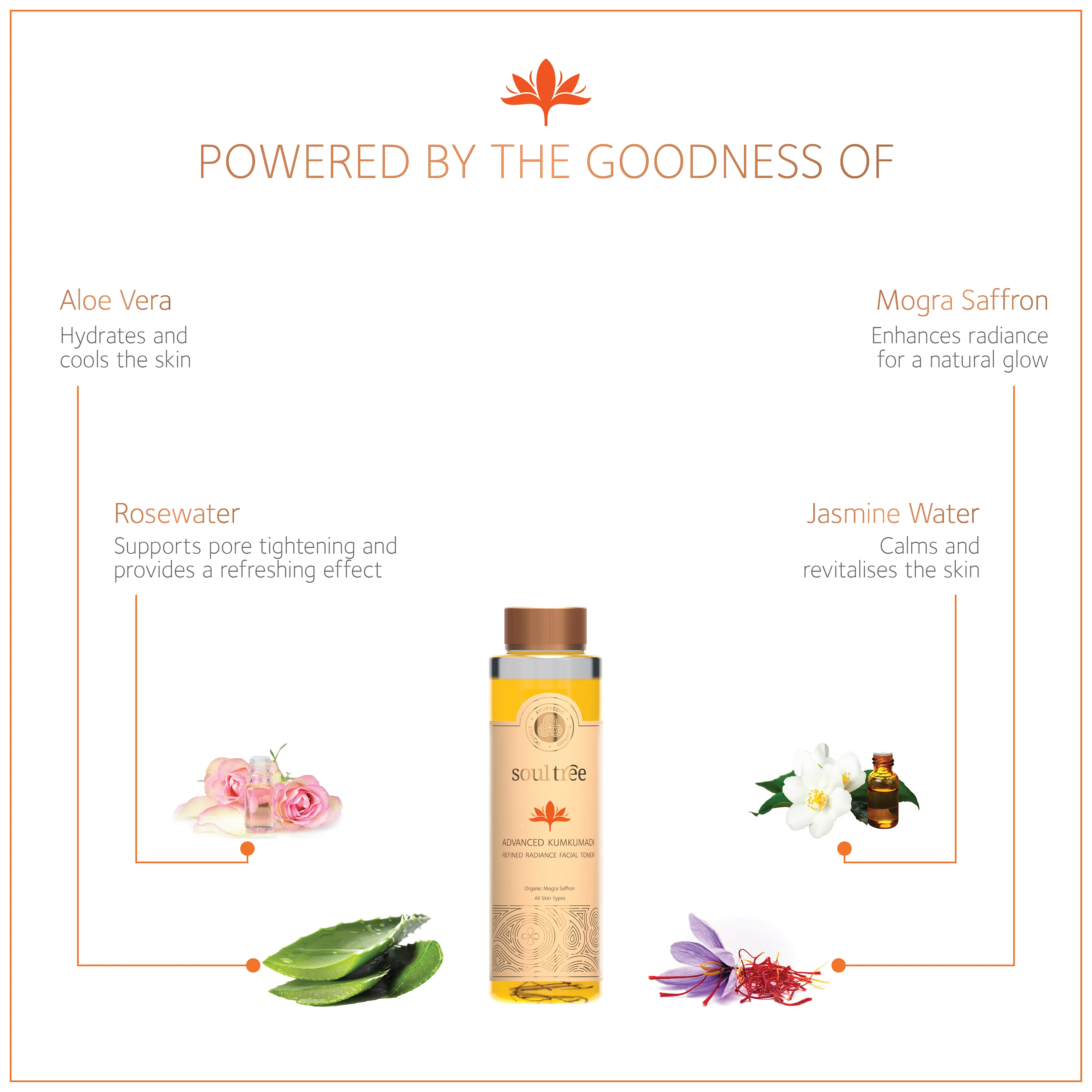 Advanced Kumkumadi Refined Radiance Facial Toner - Image 3