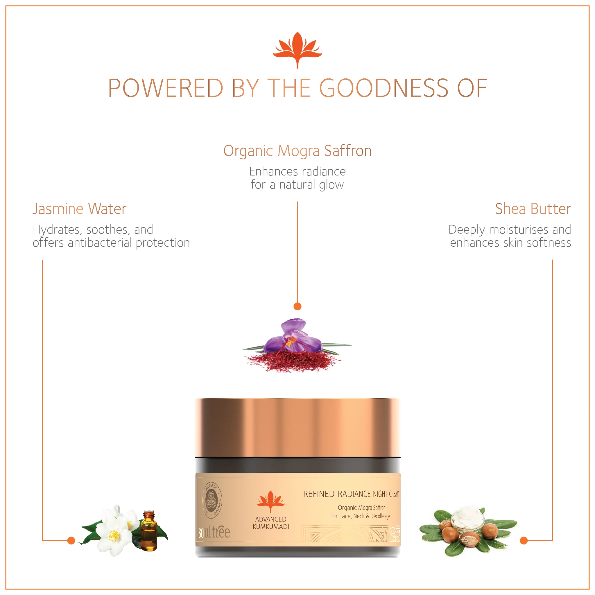 Advanced Kumkumadi Refined Radiance Night Cream - Image 3