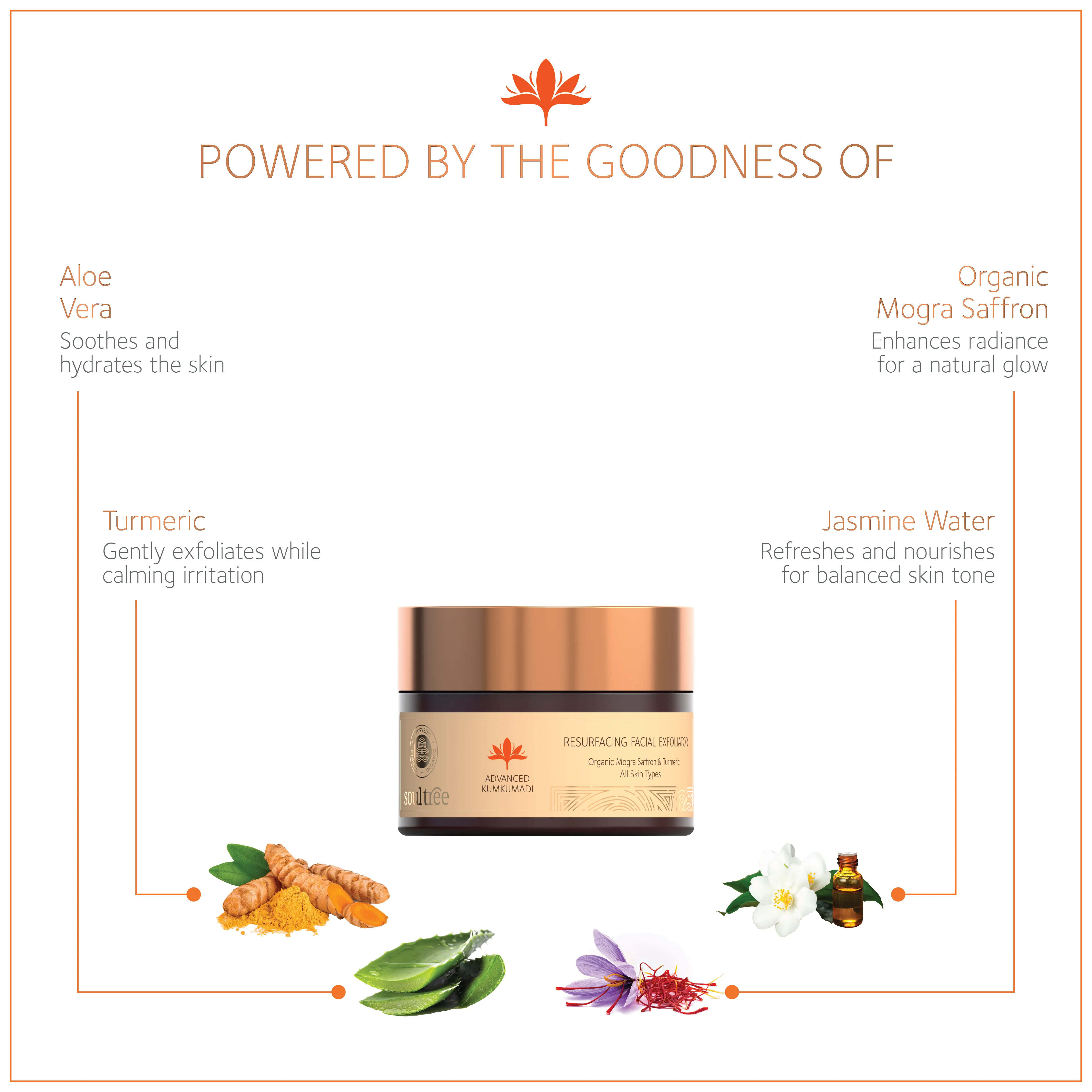 Advanced Kumkumadi Resurfacing Facial Exfoliator - Image 3