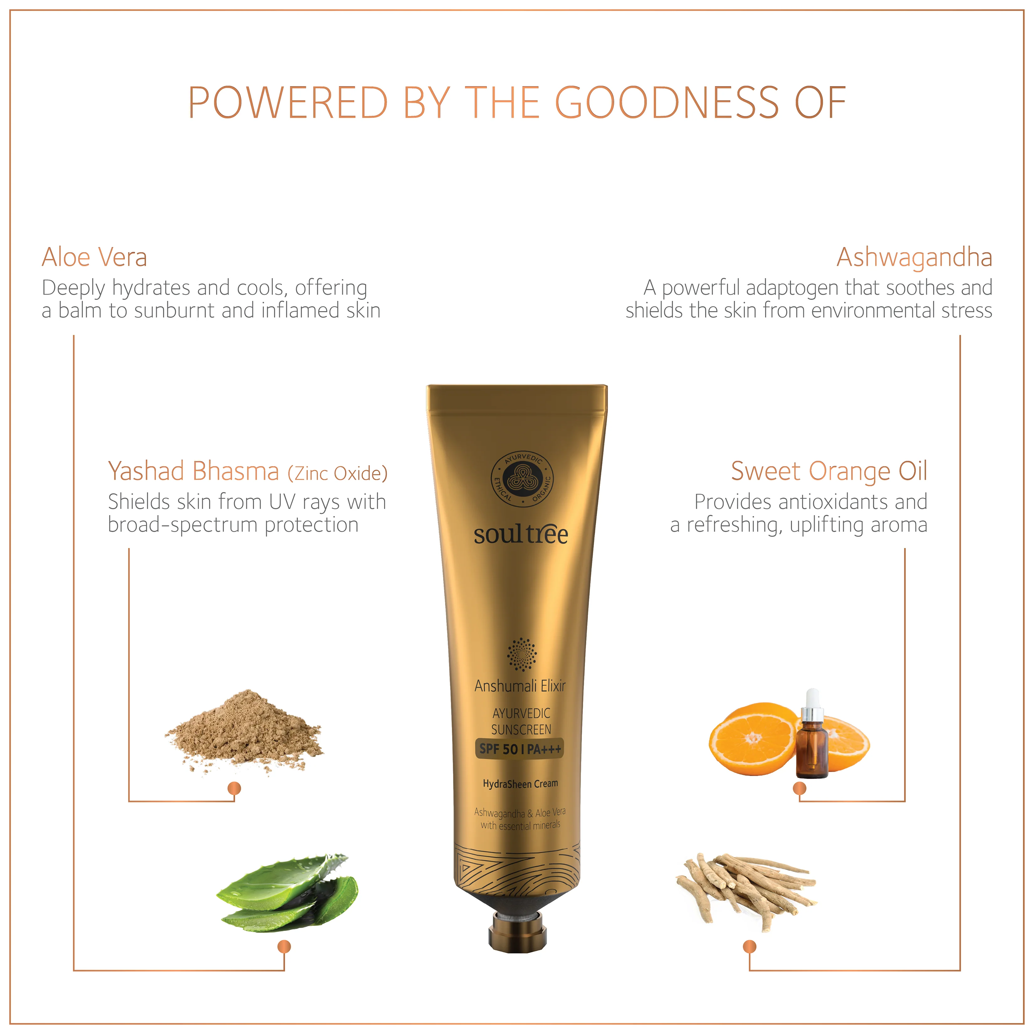Anshumali Elixir Ayurvedic Sunscreen SPF 50 | PA+++ - Image 3