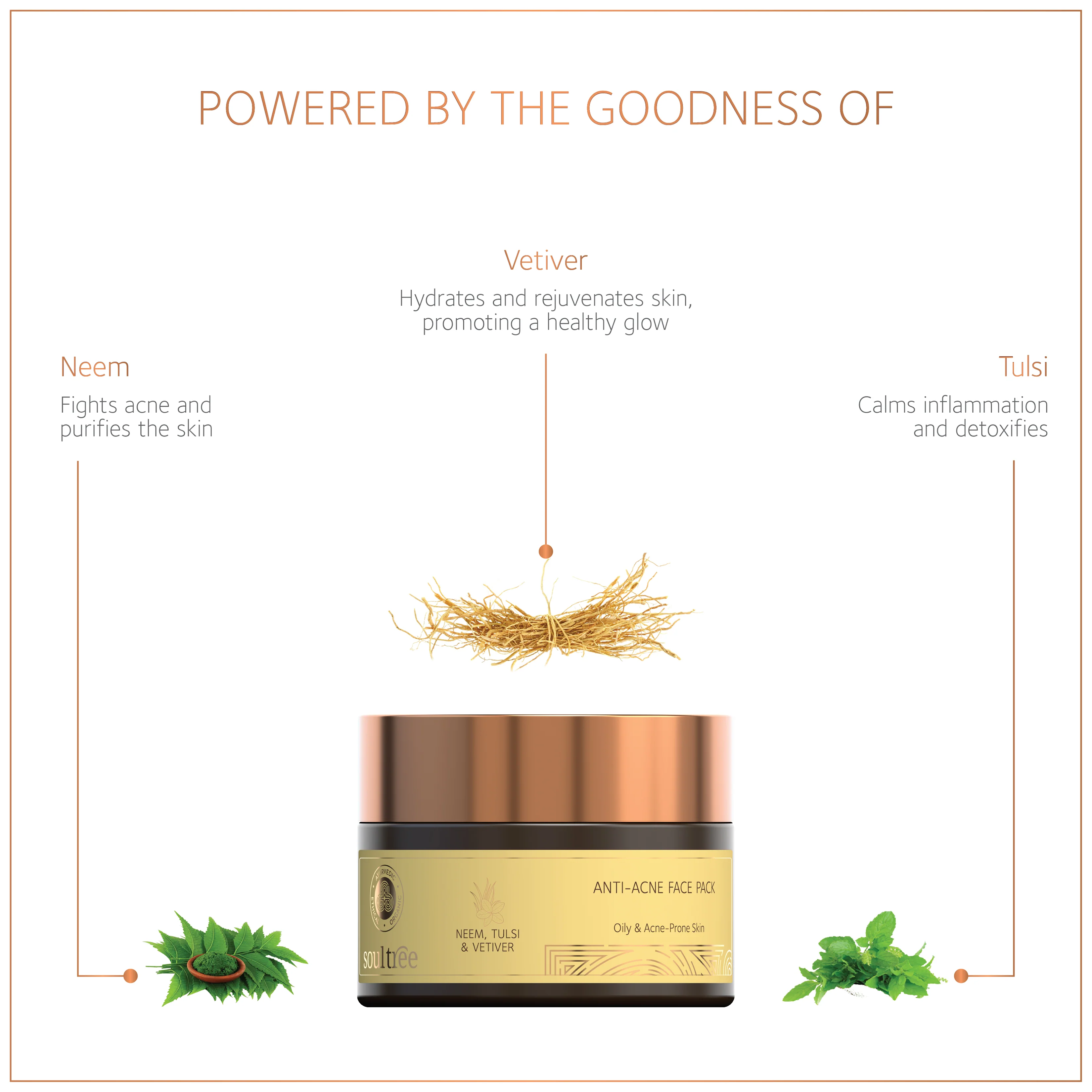 Anti-Acne Face Pack – Neem, Tulsi & Vetiver - Image 3
