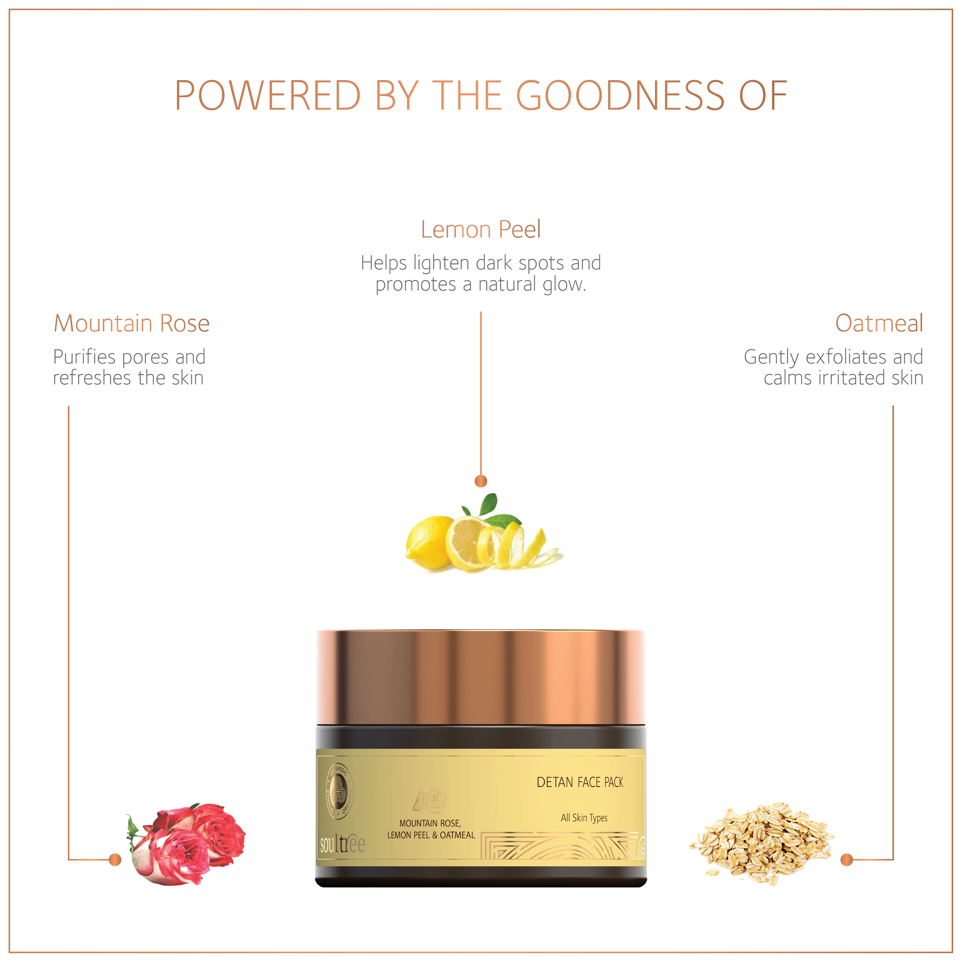 Detan Face Pack – Mountain Rose, Lemon Peel & Oatmeal - Image 3