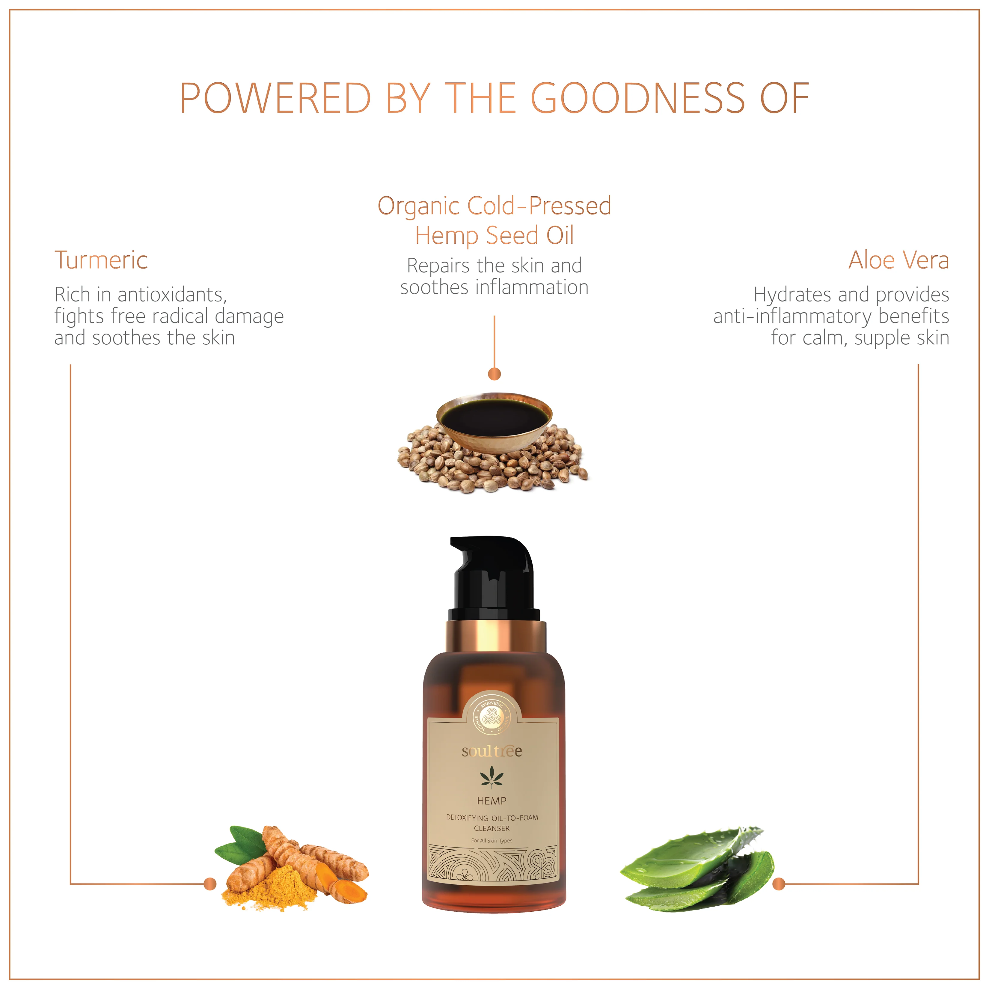Hemp Detoxifying Oil To Foam Cleanser - Image 3