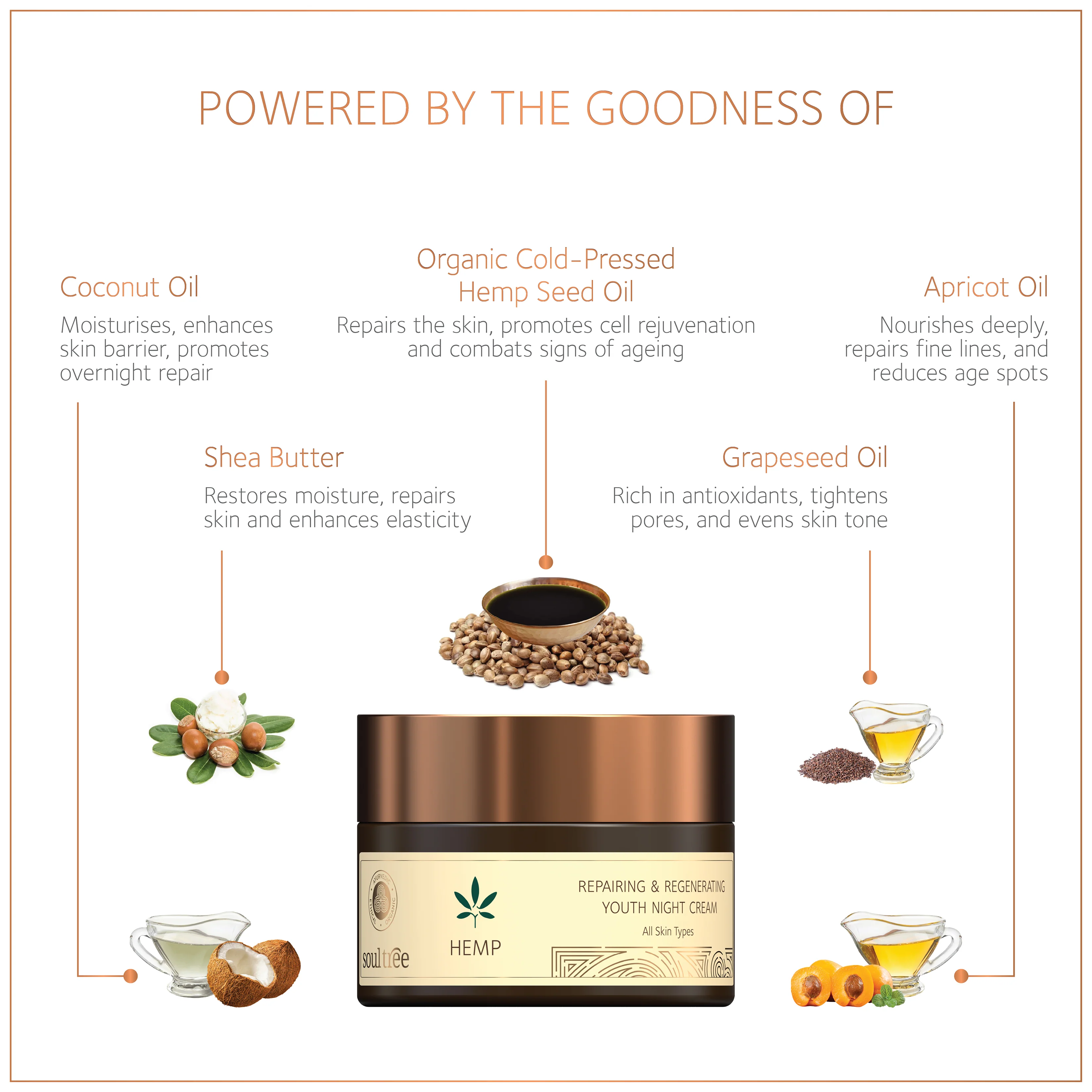 Hemp Repairing & Regenerating Youth Night Cream - Image 3