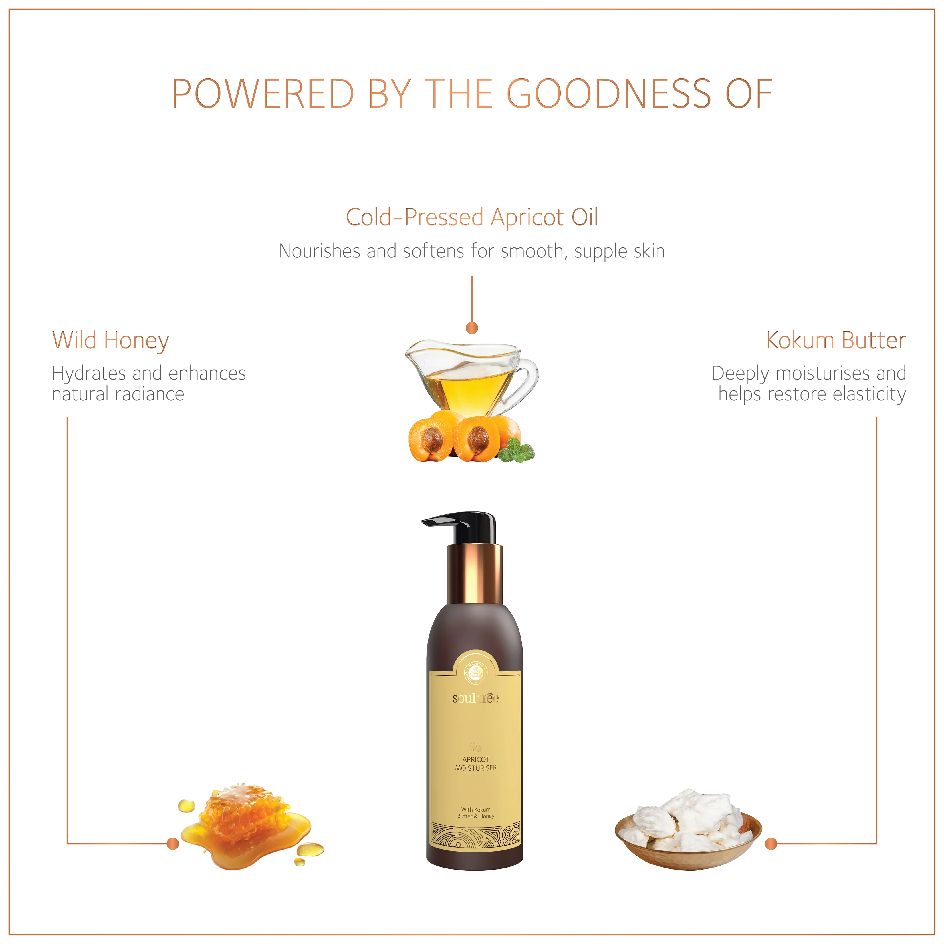 Apricot Moisturiser with Honey & Kokum Butter - Image 3