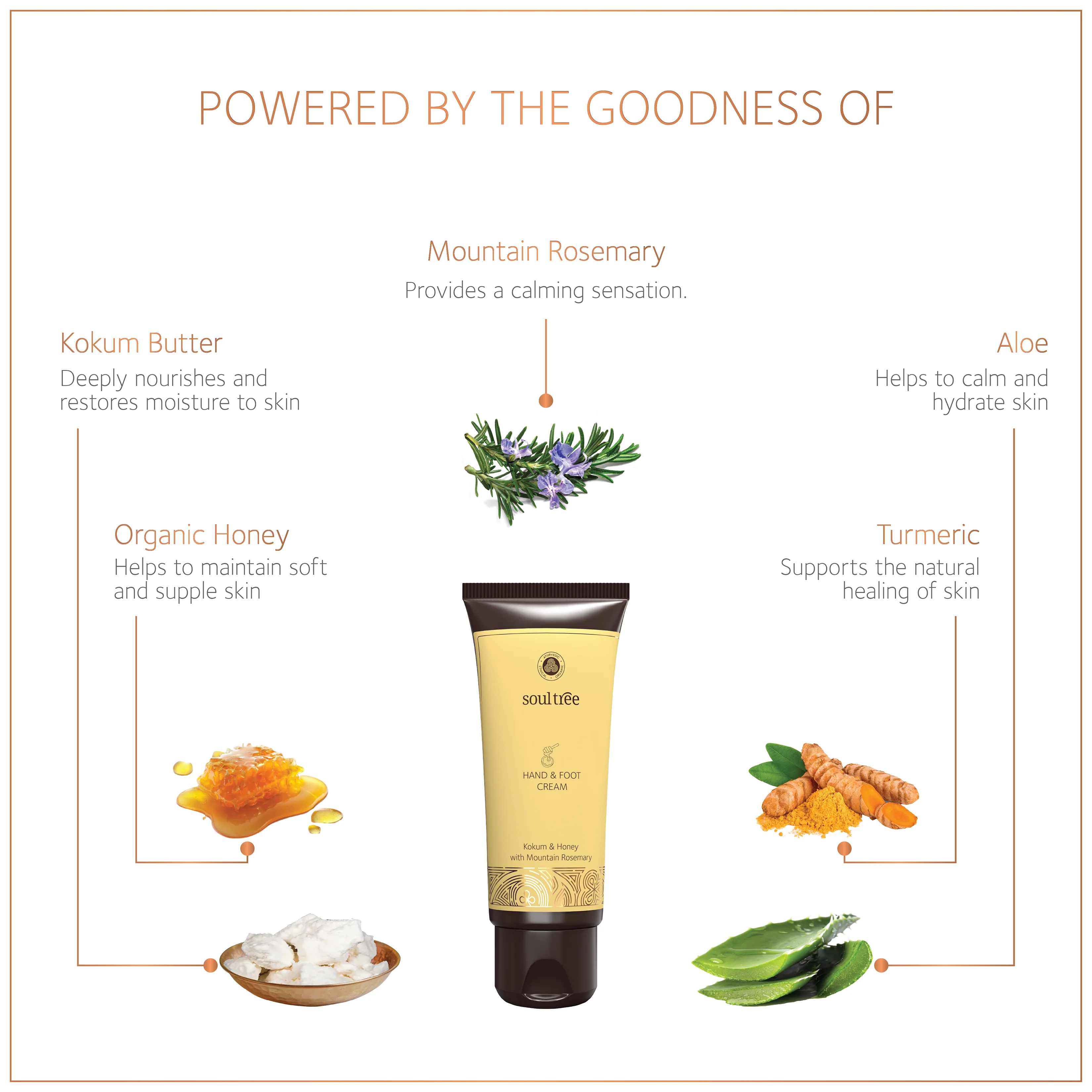 Hand & Foot Cream - Kokum & Honey with Mountain Rosemary - Image 3