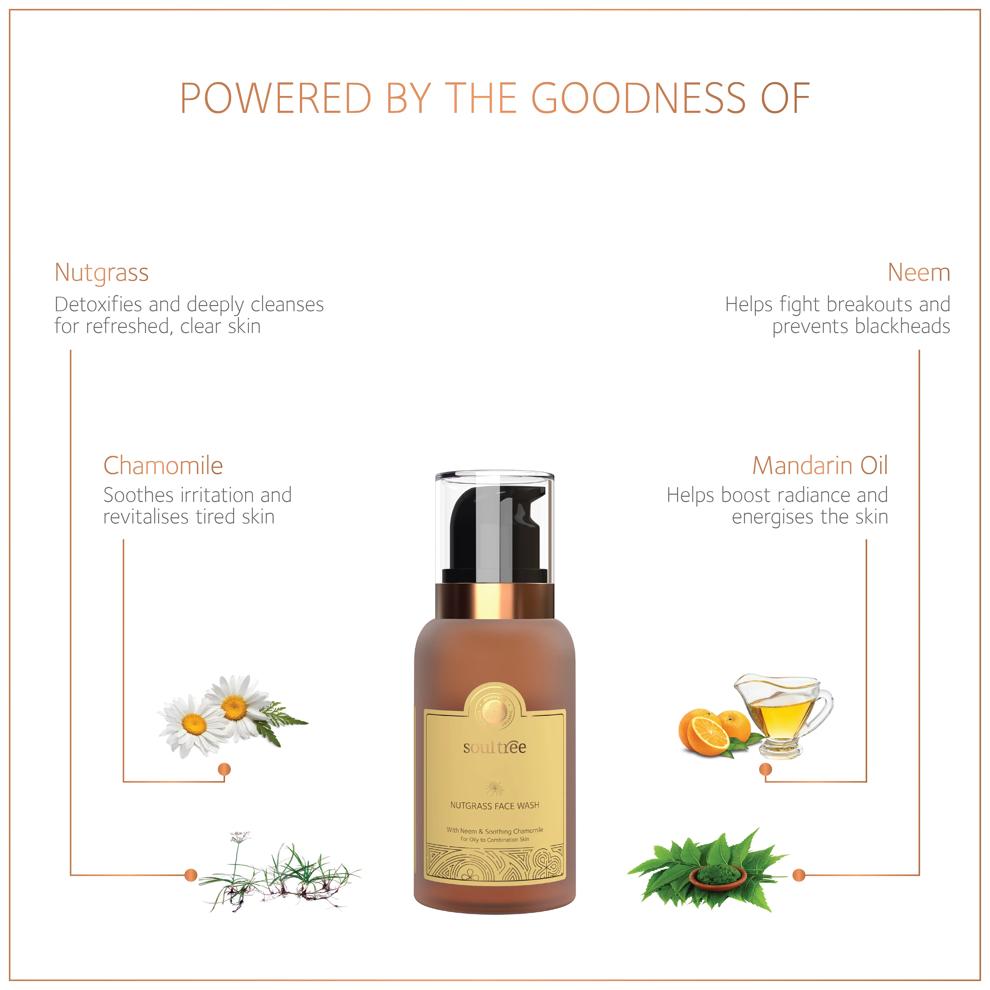 Nutgrass Face Wash with Neem & Soothing Chamomile - Image 3