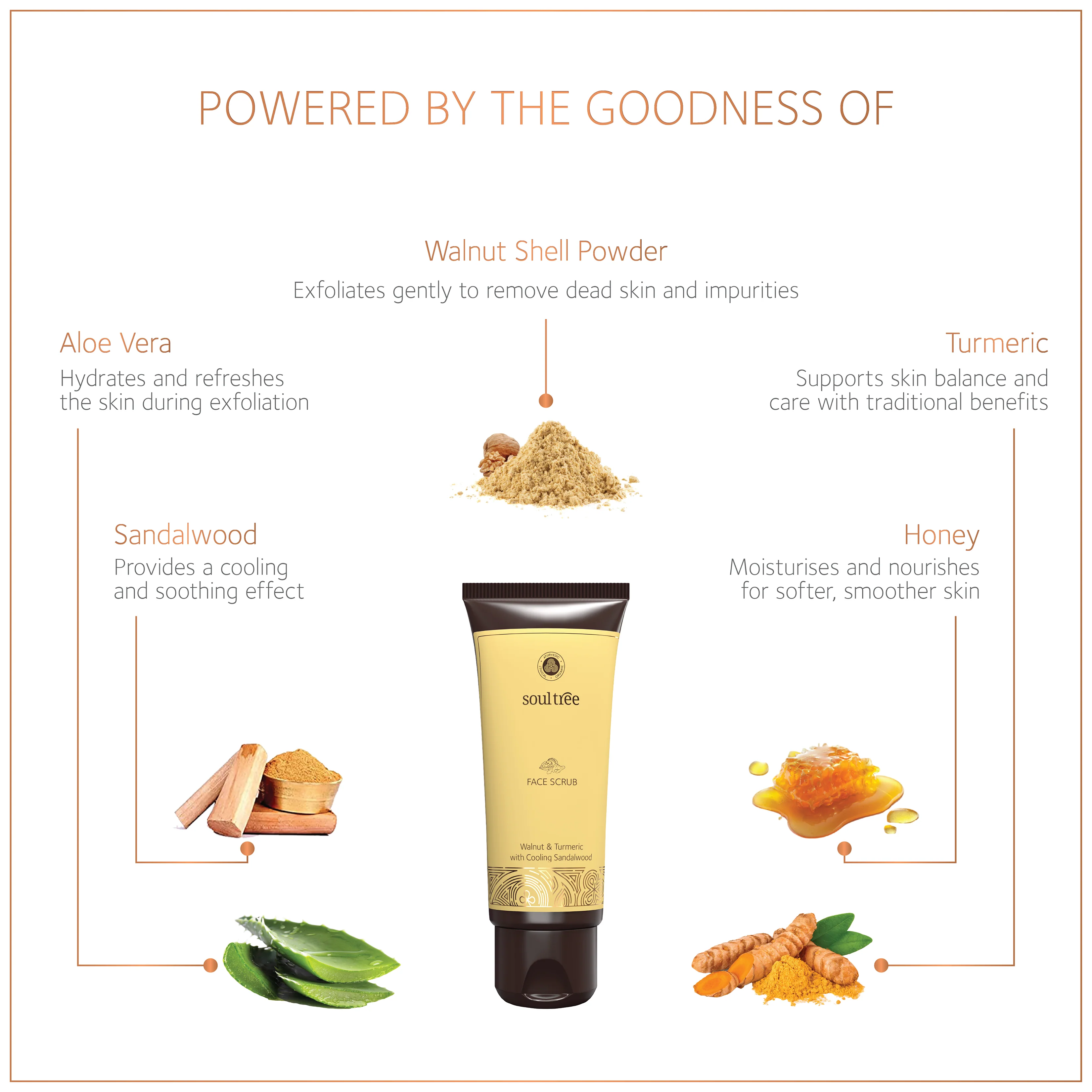 Face Scrub - Walnut & Turmeric with Cooling Sandalwood - Image 3