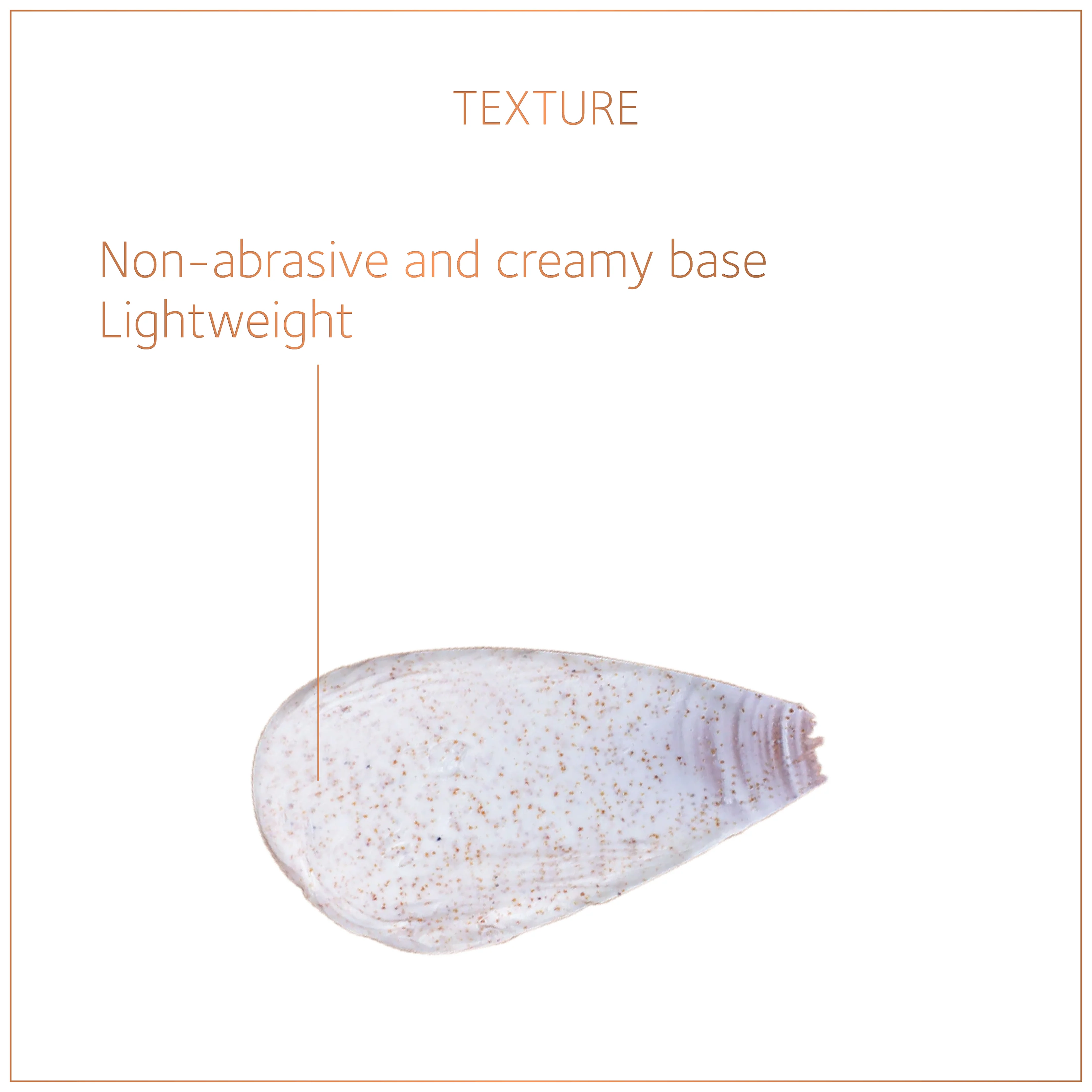 Face Scrub - Walnut & Turmeric with Cooling Sandalwood - Image 5