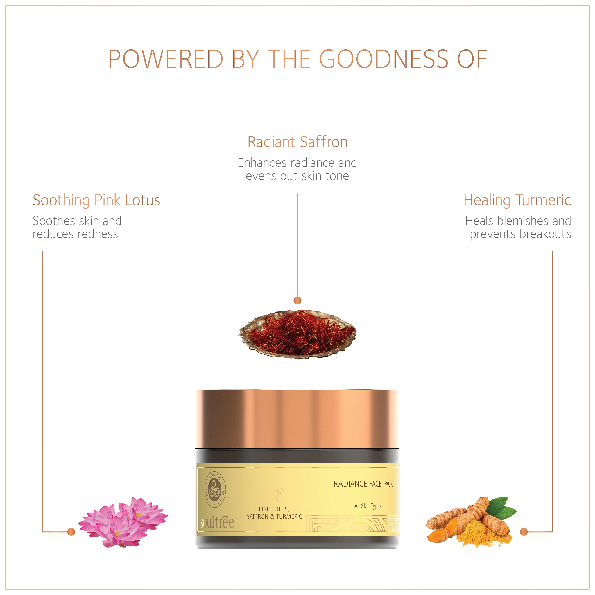Radiance Face Pack – Pink Lotus, Saffron & Turmeric - Image 3